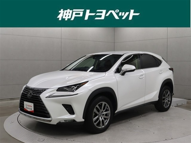 NX300 バージョンL