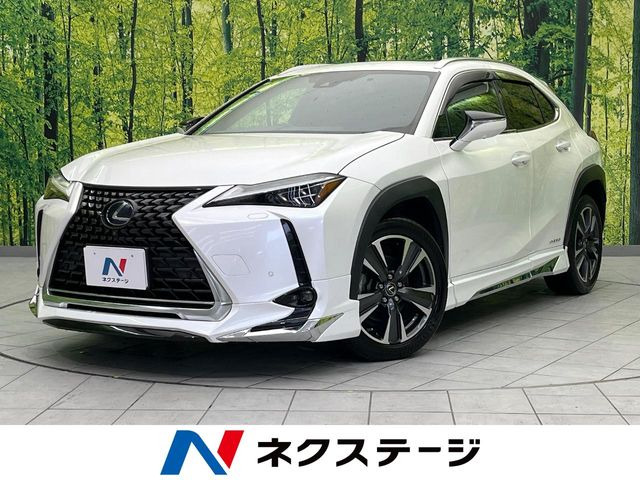 UX250h バージョンL