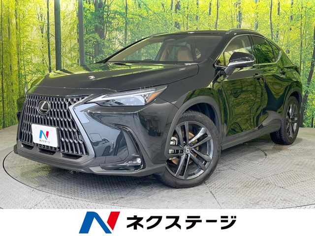 NX350h バージョンL