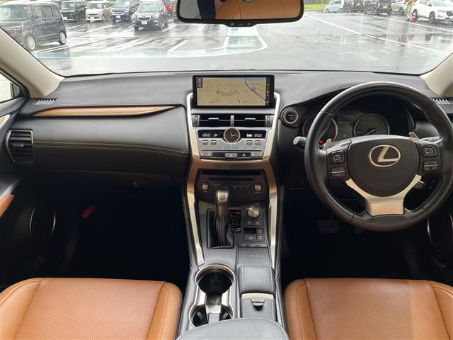 NX300h バージョンL