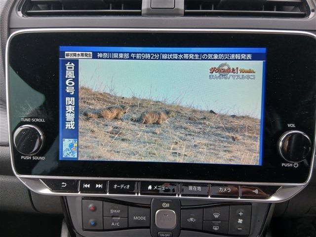 リーフX