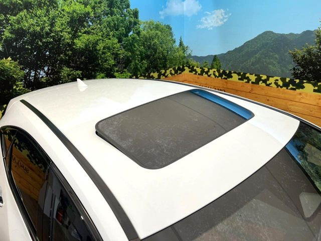 NX350h Fスポーツ