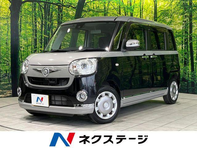 ムーヴキャンバスG メイクアップ SAII