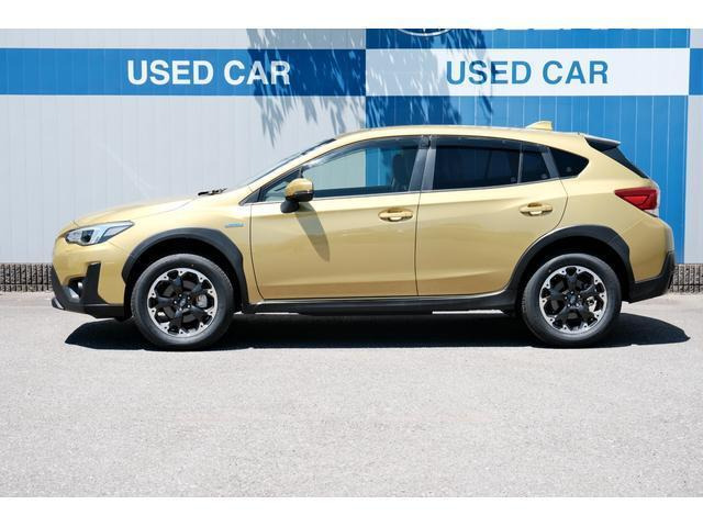 XV