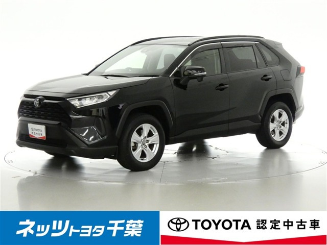 RAV42.0 X