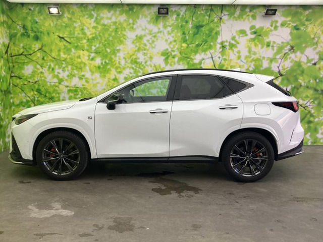 NX350h Fスポーツ