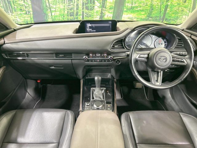 CX-301.8 XD Lパッケージ