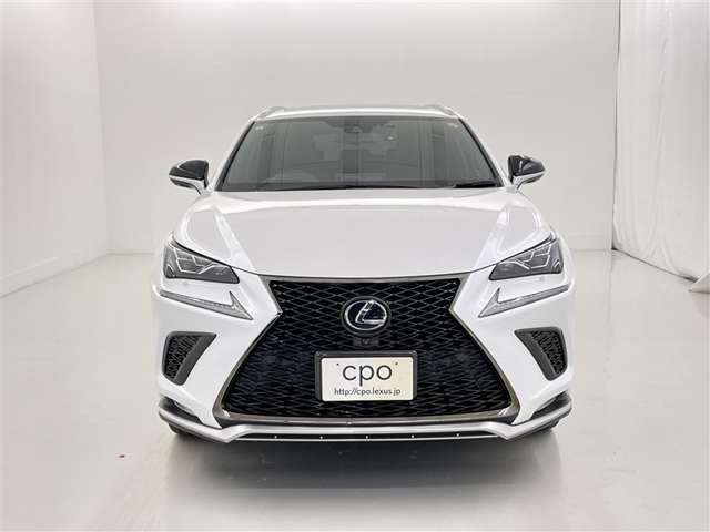 NX300h アーバンスタイル