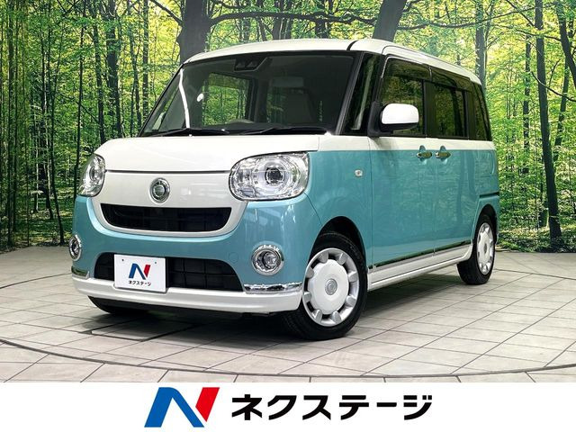 ムーヴキャンバスG メイクアップ SAIII