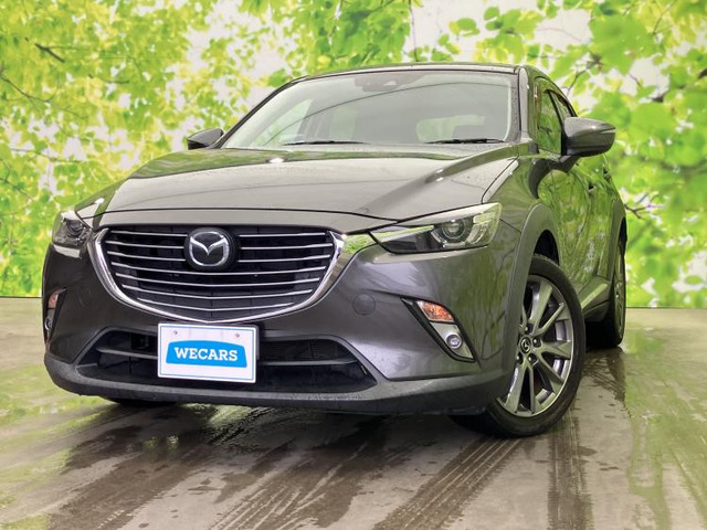 CX-31.5 XD ノーブル ブラウン
