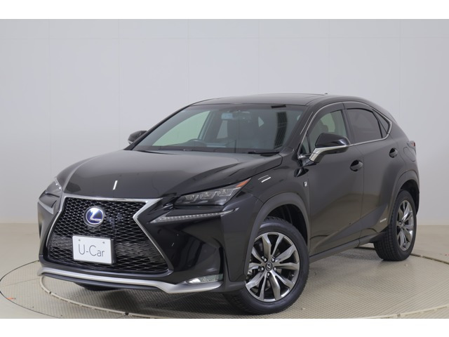 NX300h Fスポーツ