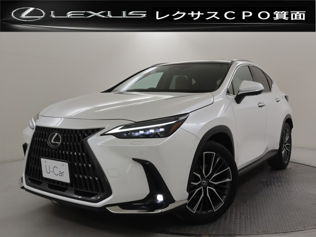 NX350h バージョンL