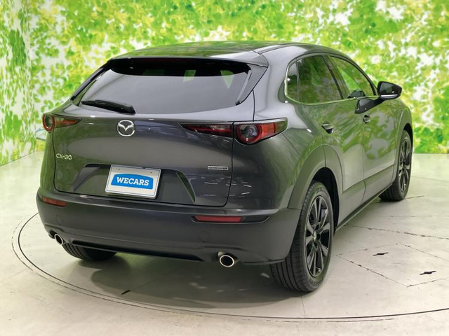 CX-301.8 XD レトロスポーツエディション