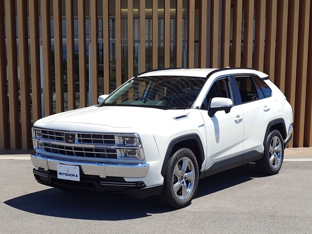 バディ2.5 ハイブリッド ST E-Four 4WD