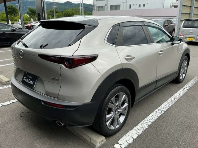 CX-302.0 20S