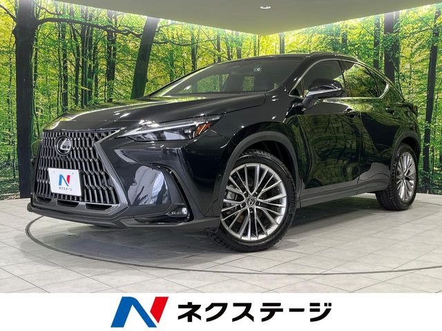 NX350h バージョンL