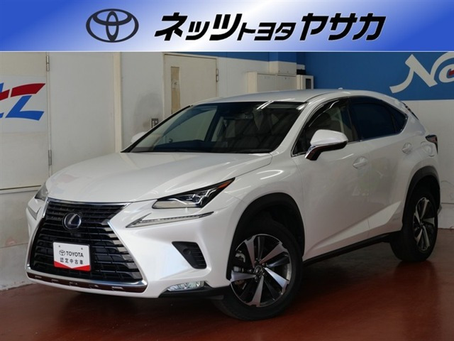 NX300h Iパッケージ