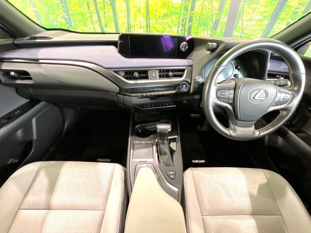 UX250h バージョンL
