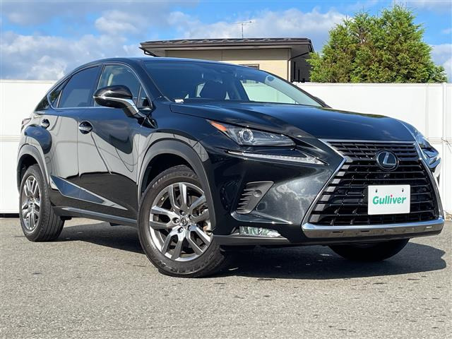 NX300 4WD