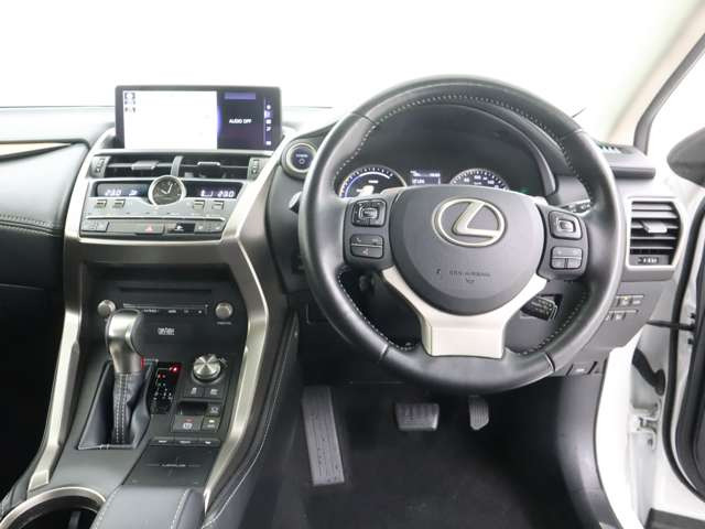 NX300h バージョンL 4WD