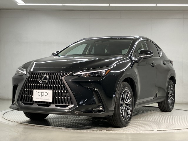 NX