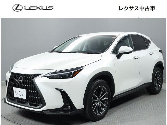 NX