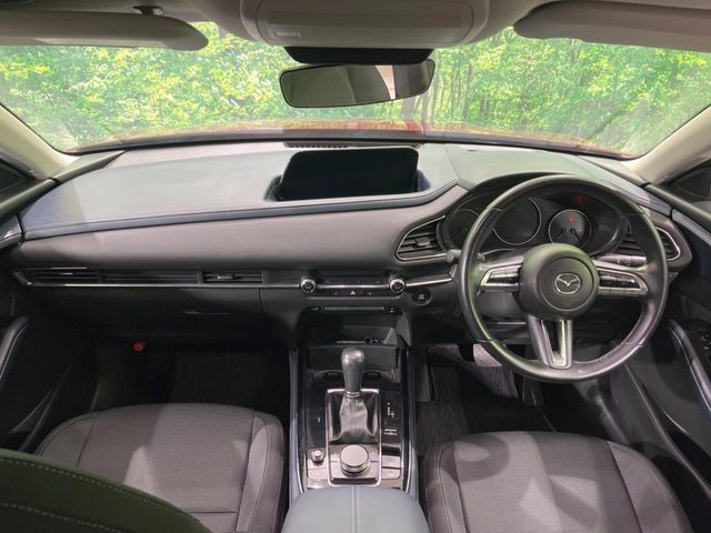 CX-302.0 20S