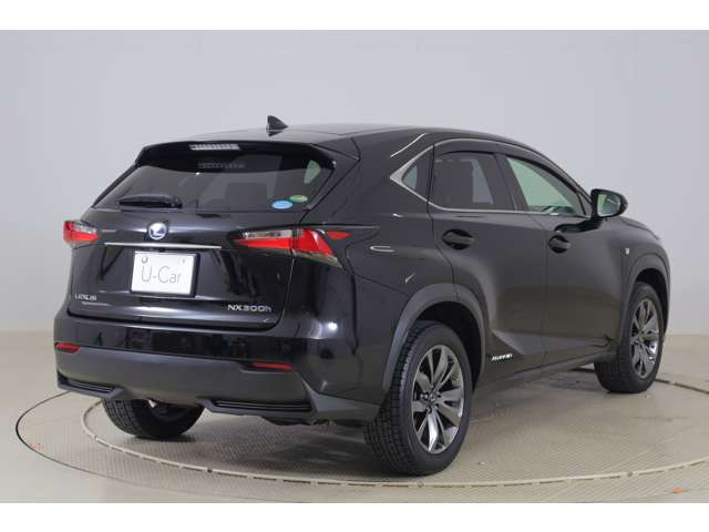 NX300h Fスポーツ