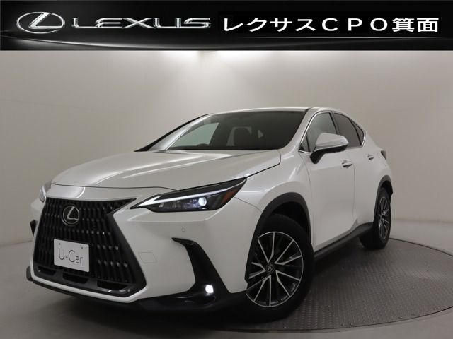 NX