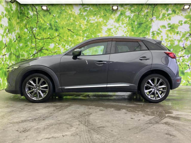 CX-31.5 XD ノーブル ブラウン
