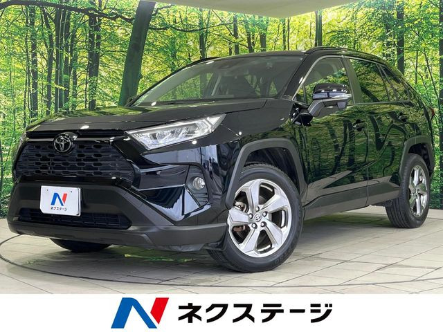 RAV42.0 X