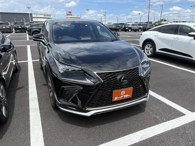 NX300 Fスポーツ