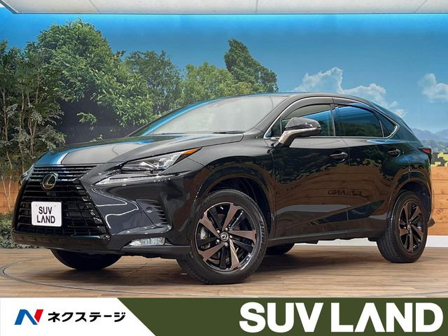 NX300 ブロンズ エディション