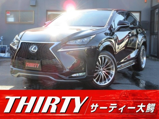 NX200t Iパッケージ 4WD