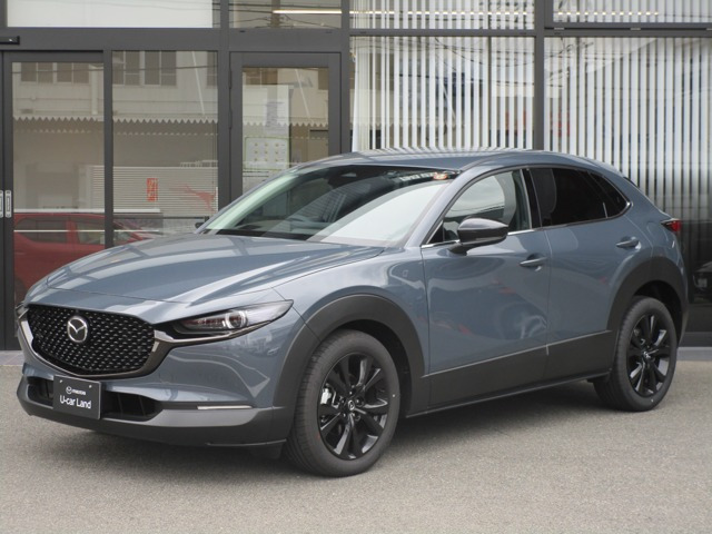 CX-301.8 XD ドライブ エディション