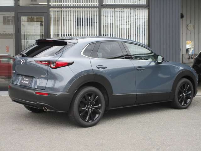 CX-301.8 XD ドライブ エディション