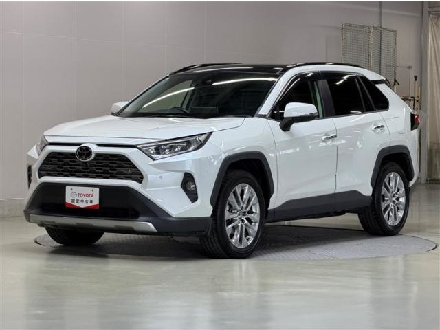 RAV42.0 G Zパッケージ 4WD