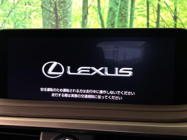 RX450hl 4WD