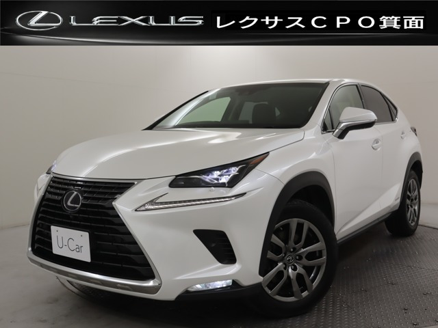 NX300h バージョンL 4WD