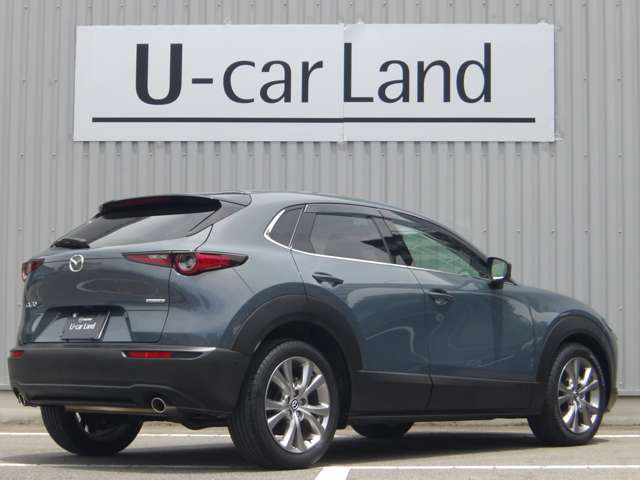CX-302.0 20S プロアクティブ