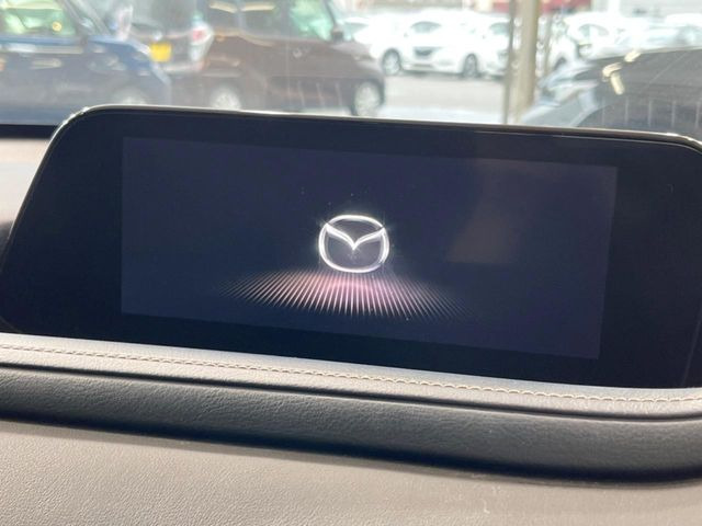 CX-302.0 20S