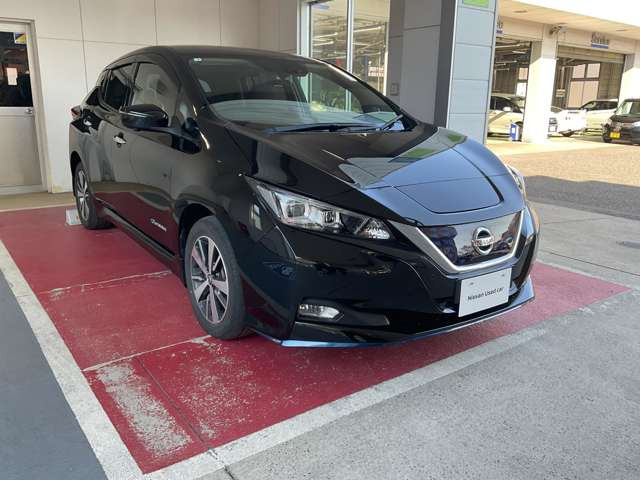 リーフe+ X