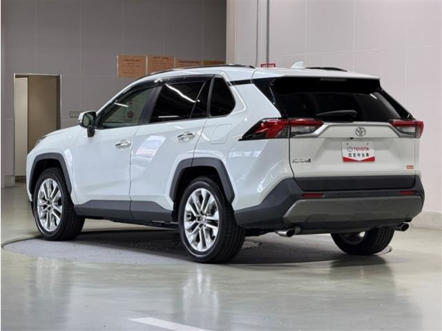 RAV42.0 G Zパッケージ 4WD
