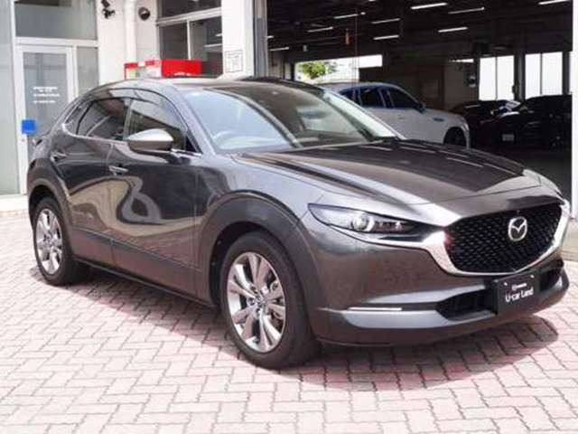 CX-301.8 XD Lパッケージ 4WD