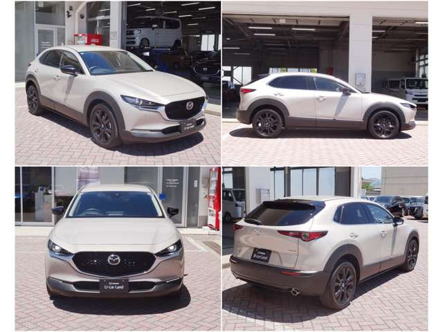 CX-302.0 20S
