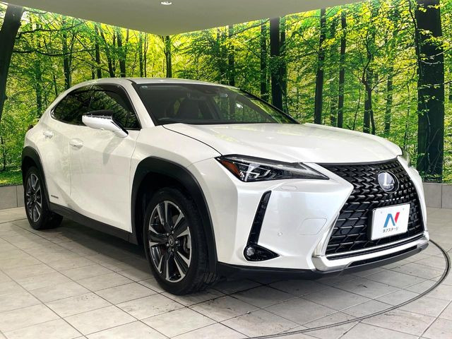 �������x�̃K���X�疌�ŝ����͂������A�㎿�ȃc���E����������B���O����_���J�����؂Ȉ��Ԃ�ی삵�A�F�����E�򉻂�h�~�B�u�e�X�v���b�V���R�[�g�v�A�u�e�v���~�b�T�R�[�g�v���炨�I�т��������܂��B