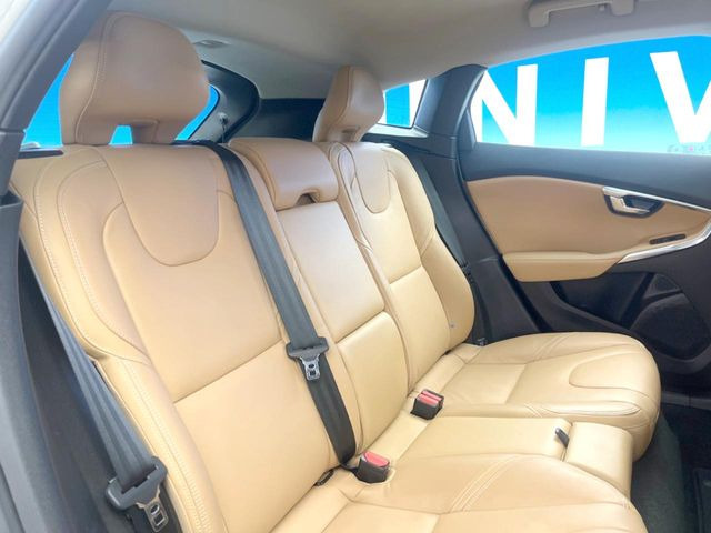 ���㕔���Ȃ��C�ɂȂ�悤�ȃL�Y�E�����ւ��蓙�A�傫�ȃ_���[�W�͂Ȃ��A�ǍD�ȏ�Ԃł��B