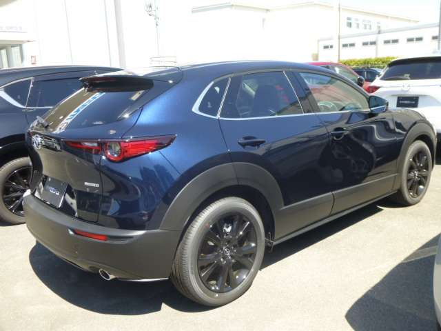 CX-301.8 XD ドライブ エディション