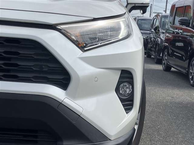RAV42.0 X