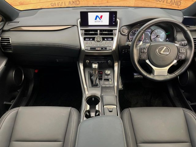 NX300 ブロンズ エディション